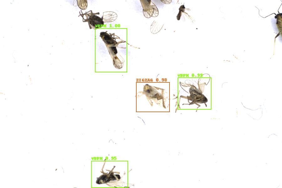 Image 21
